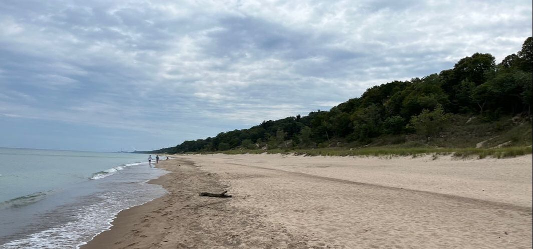 Beach and high dunes, Indiana Dunes State Park