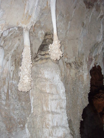 Cave popcorn deposits on stalactites, showing a past water level in the Big Room, Carlsbad Cavern