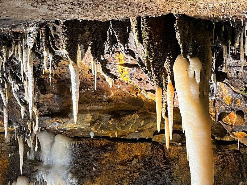Stalactites of iron oxide and pure calcite, Ohio Caverns