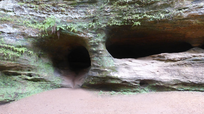 Sandstone alcoves in canyon wall, Old Man's Cave Trail, Hocking Hills State Park