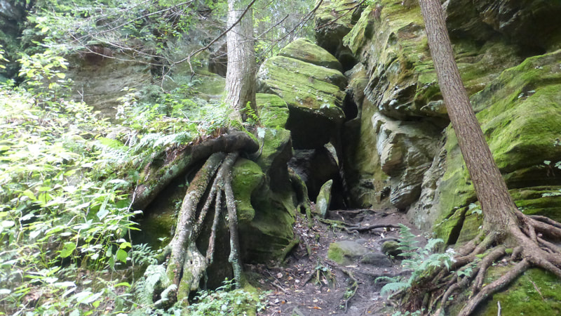 Cliff base, Cantwell Cliffs trail, Hocking Hills State Park