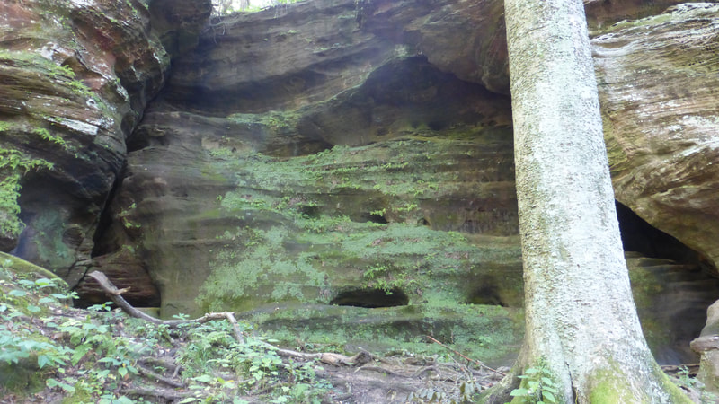 Sandstone cliff with seepage holes, Hocking Hills State Park, Ohio