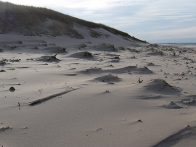 Wind-streamlined sand mounds, Greenwich, PEI National Park, Canada.