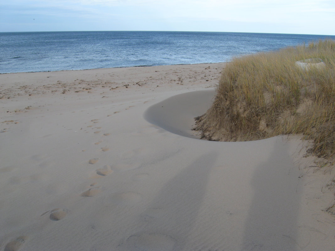 Wind scour at dune edge, Greenwich, PEI National Park, Canada.