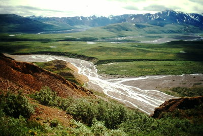 Braided stream, Denali National Park, Alaska.
