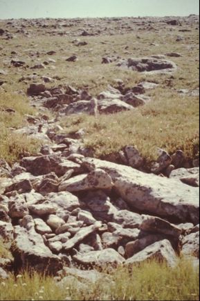Rock drains in turfed upland tundra