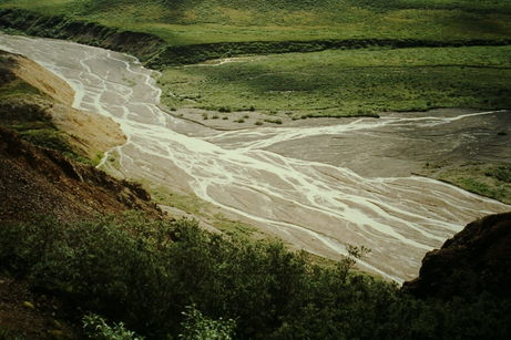Braided stream, Denali National Park, Alaska.