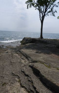 Stepped rock surface, Marblehead Lighthouse State Park, Ohio.