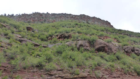 Steep, irregular slope on eroded hogback slope