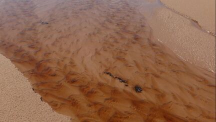 Ripples in beach surface channel, Prince Edward Island National Park, Canada, 