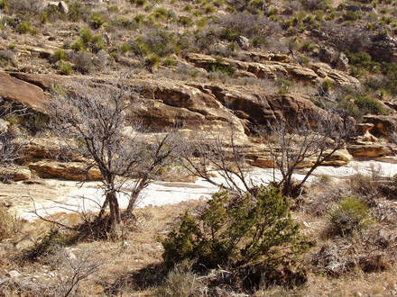 Dry stream bed, Guadalupes, NM