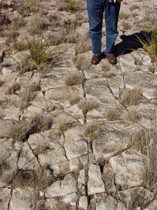 Dissolved-open fractures in limestone, Guadalupe Mountains, New Mexico 