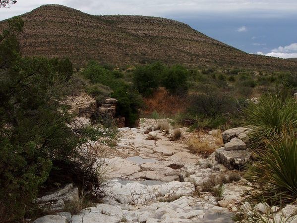 A dry bedrock stream course, a passage through desert plant cover.