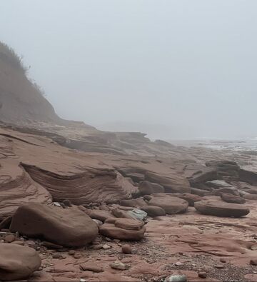 Bedrock shore in mist