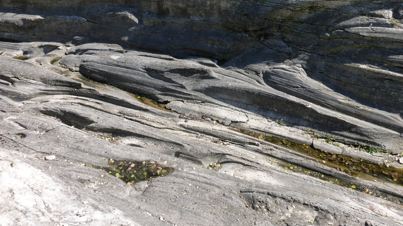 Complex grooves and streamlined ridges cut in bedrock, Kelleys Island, Ohio