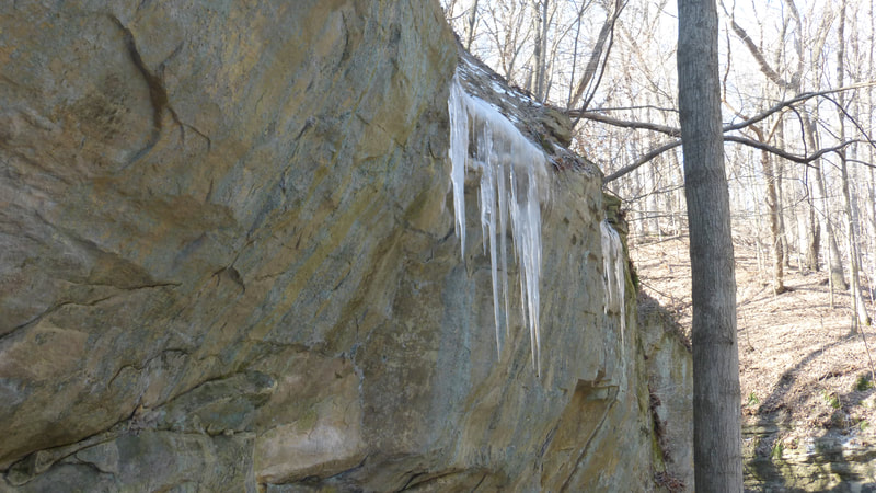 Icicles on sandstone canyon wall.