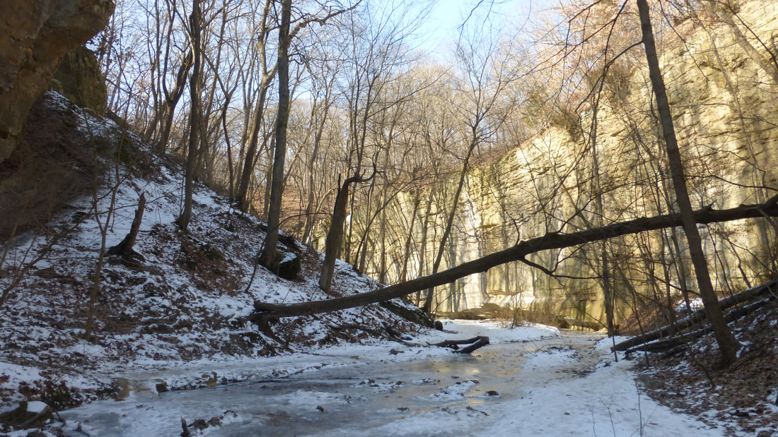Ottawa Canyon in winter, Starved Rock State Park, Illinois.