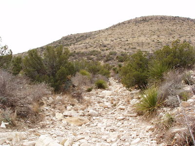 Dry cobble stream bed, Guadalupe Mountains, New Mexico 