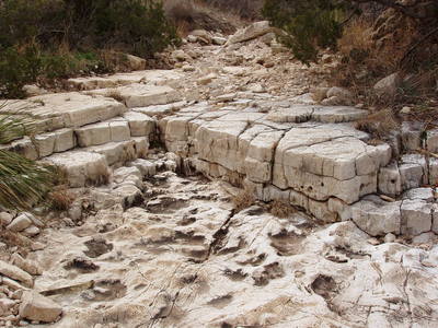 Bedrock cascade in desert stream bed, Guadalupe Mountains, New Mexico 