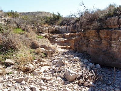 Desert stream bed, Guadalupe Mountains, New Mexico 