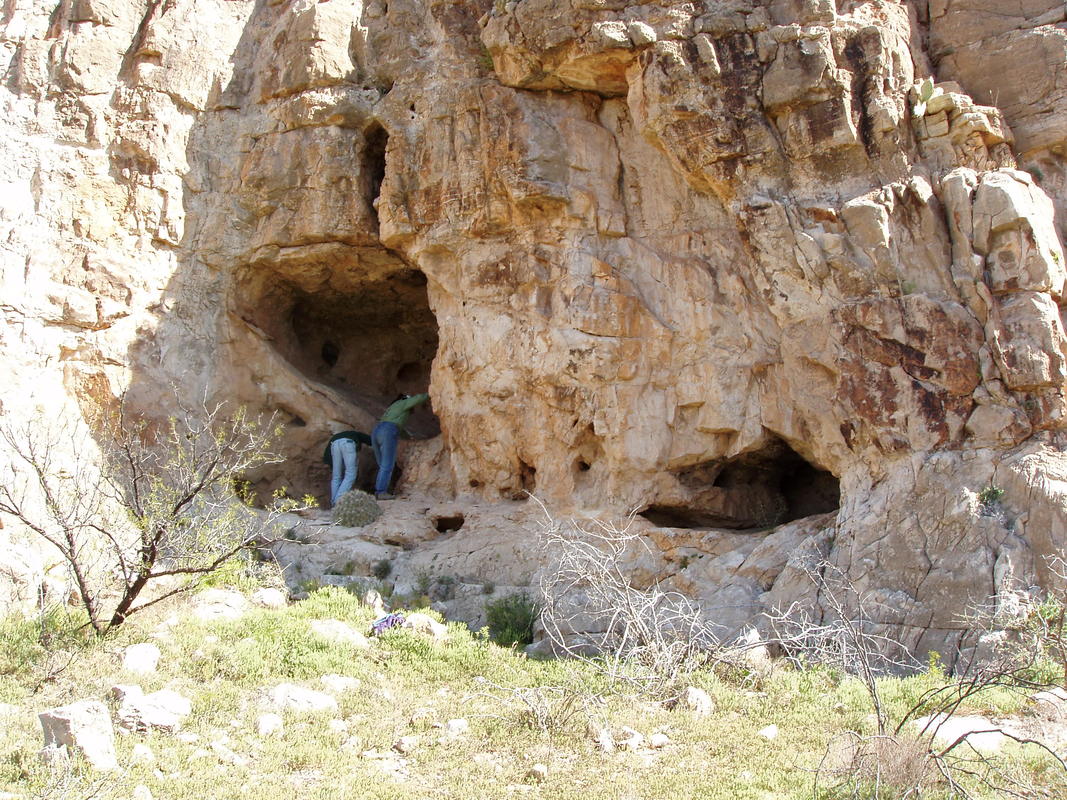 Small cave openings at base of canyon wall.