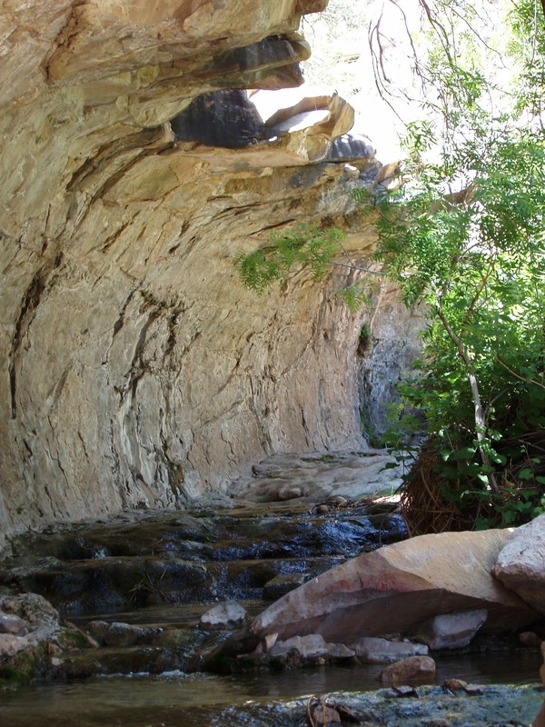 Stream cut into canyon wall, Sitting Bull Falls, NM